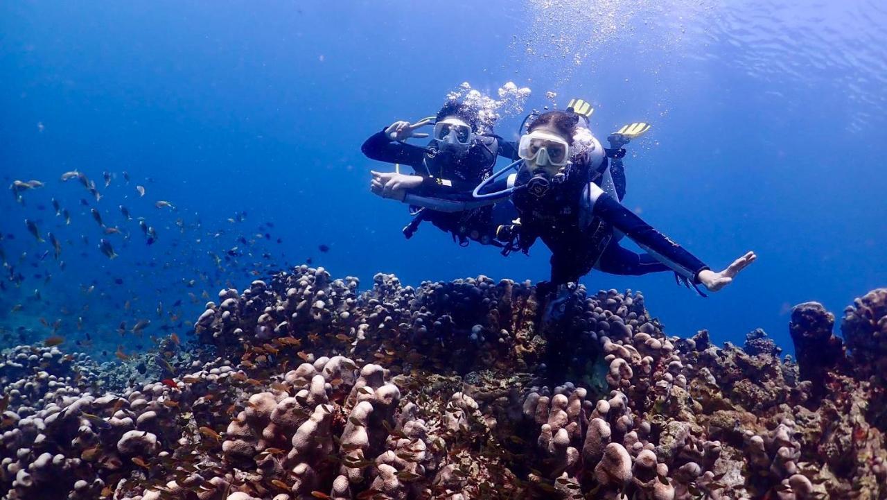 Hotel Pamanilao And Padoy'S Dive Camp Batangas Zewnętrze zdjęcie