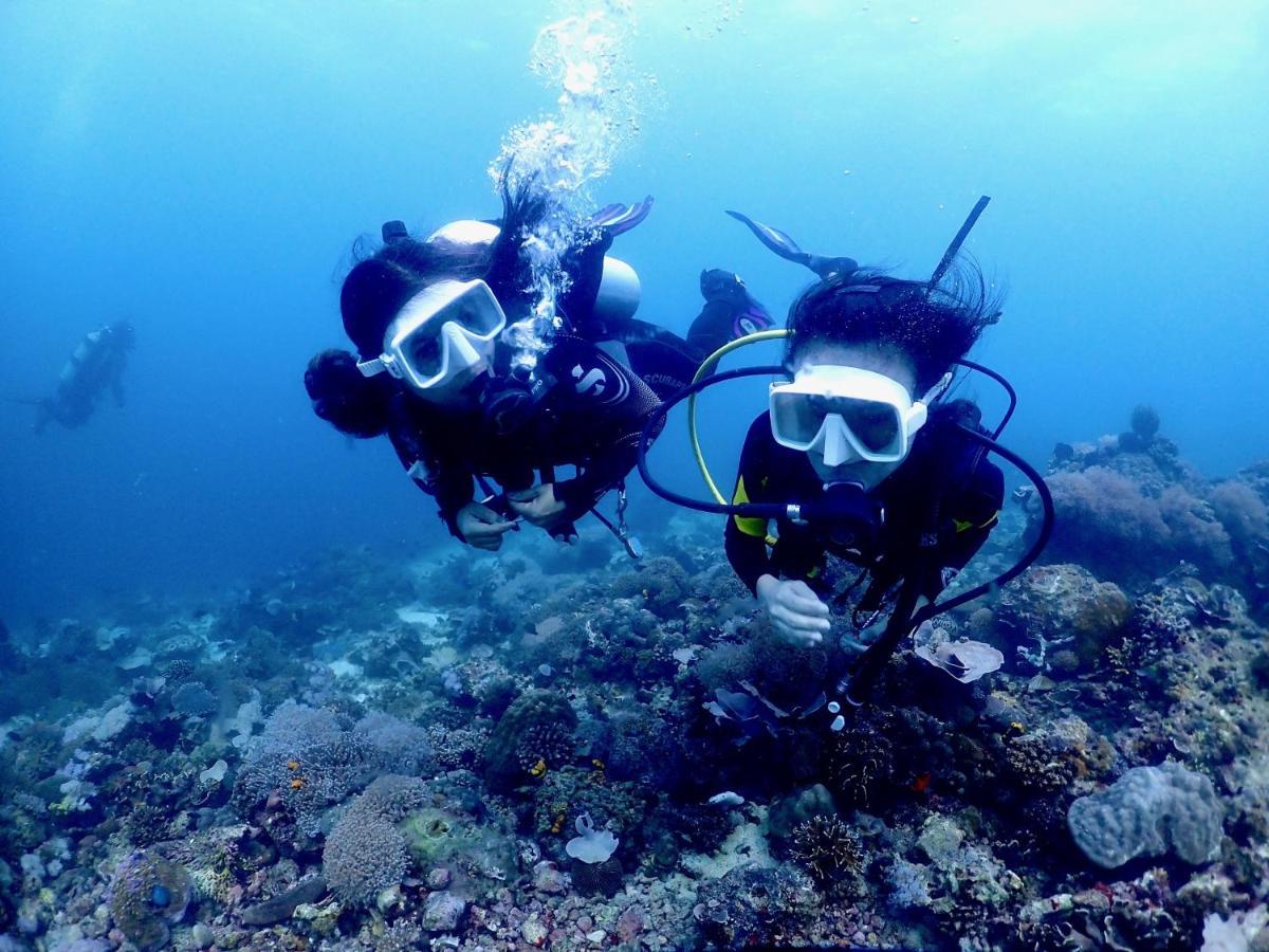 Hotel Pamanilao And Padoy'S Dive Camp Batangas Zewnętrze zdjęcie