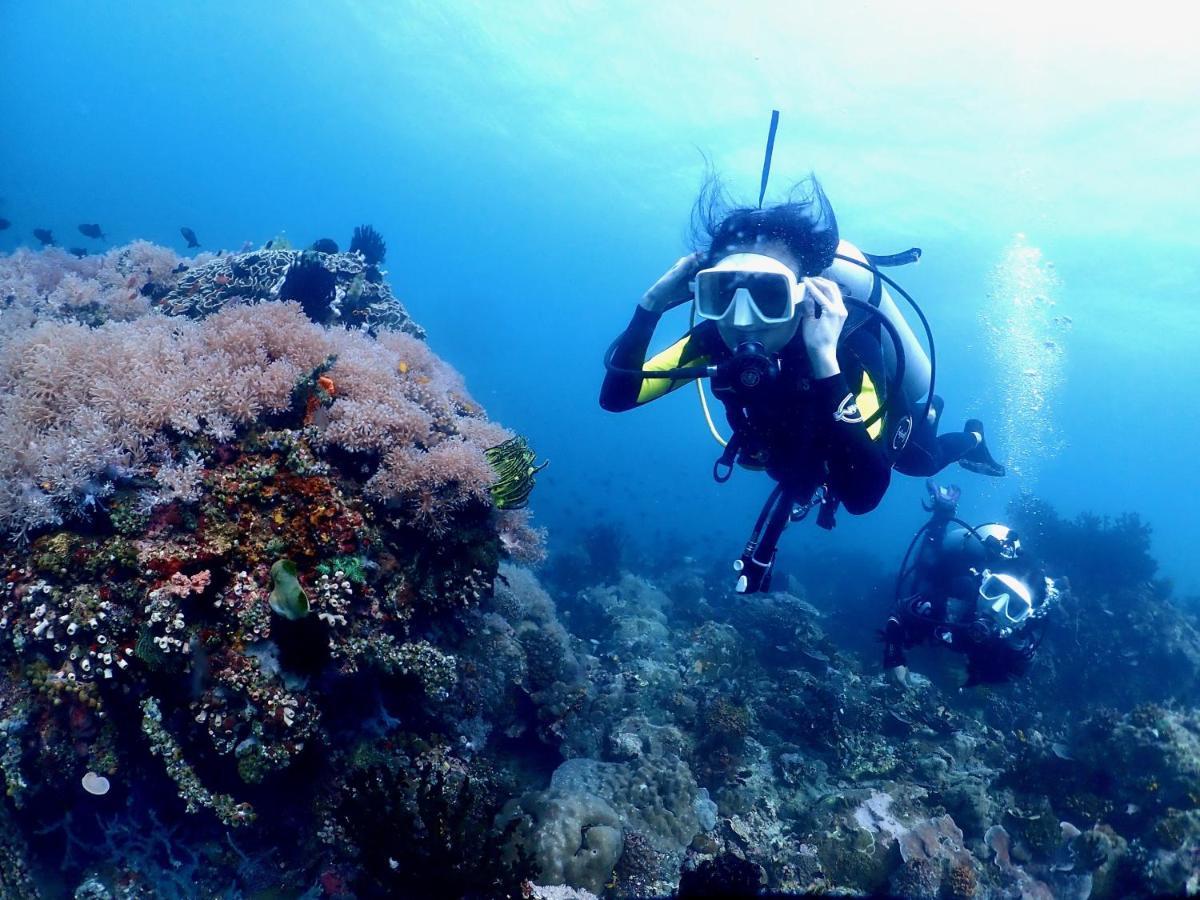 Hotel Pamanilao And Padoy'S Dive Camp Batangas Zewnętrze zdjęcie