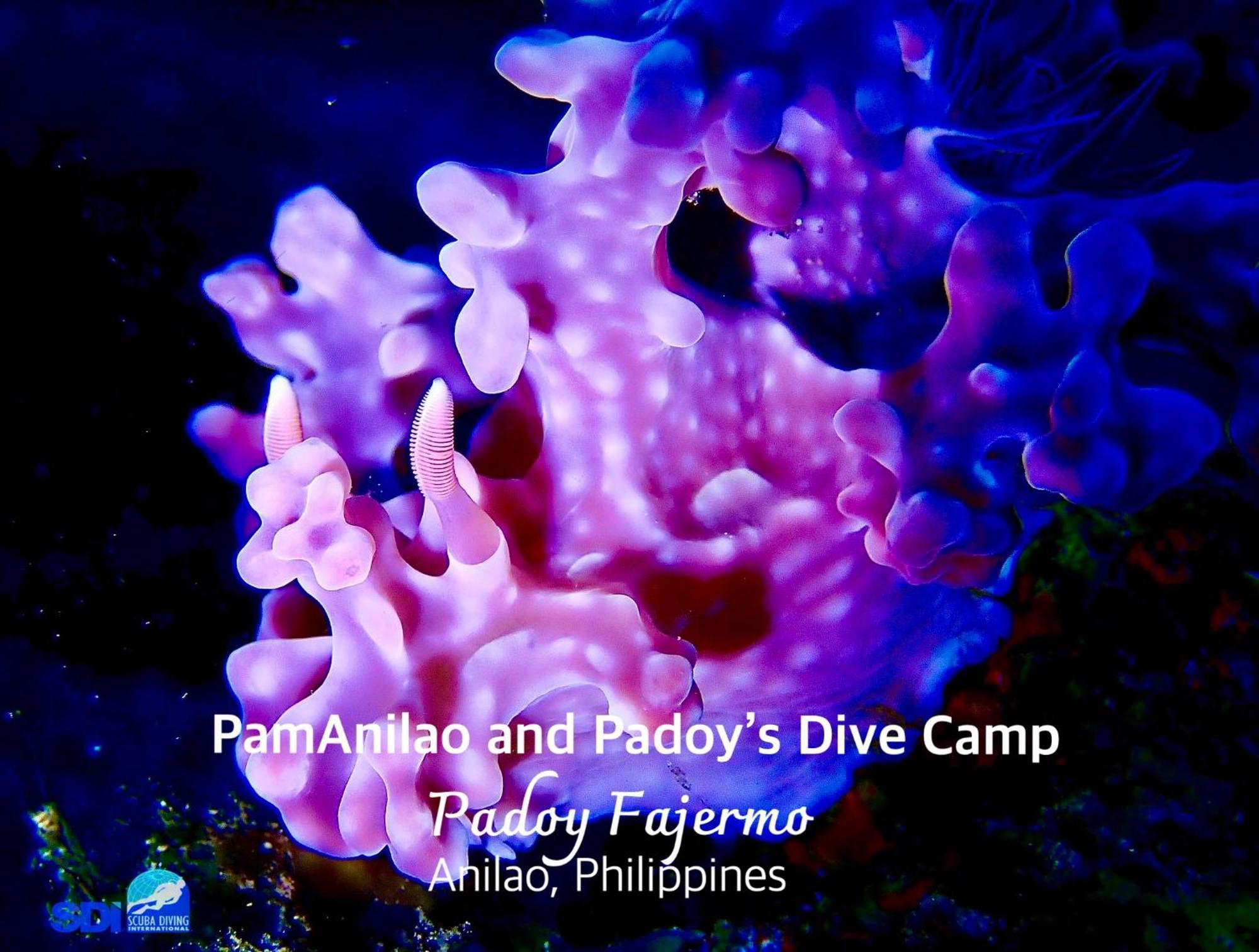 Hotel Pamanilao And Padoy'S Dive Camp Batangas Zewnętrze zdjęcie