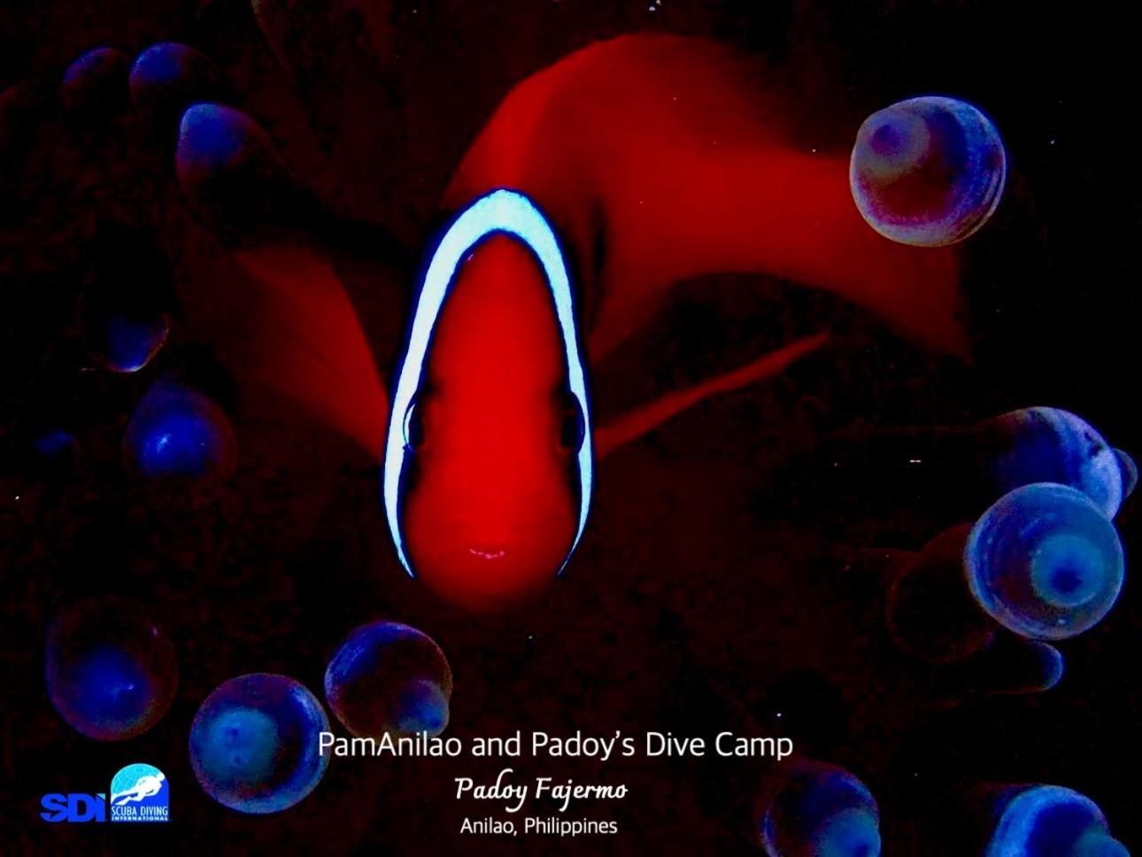 Hotel Pamanilao And Padoy'S Dive Camp Batangas Zewnętrze zdjęcie