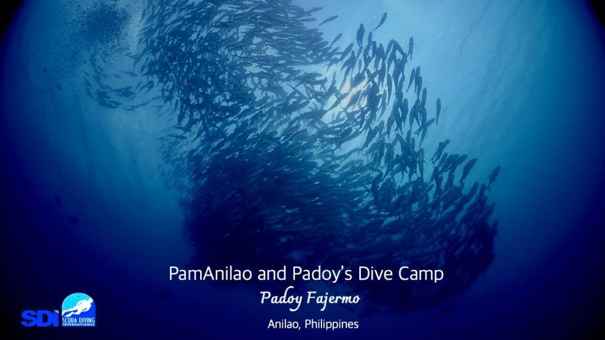 Hotel Pamanilao And Padoy'S Dive Camp Batangas Zewnętrze zdjęcie